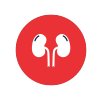 Urology